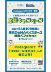 Instagramフォロワー限定！横浜DeNAベイスターズ応援キャンペーン！